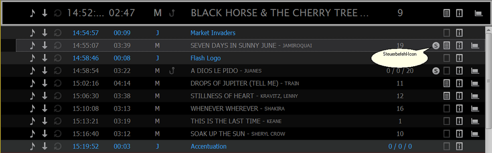 Playlist_SteurbefehlIcon